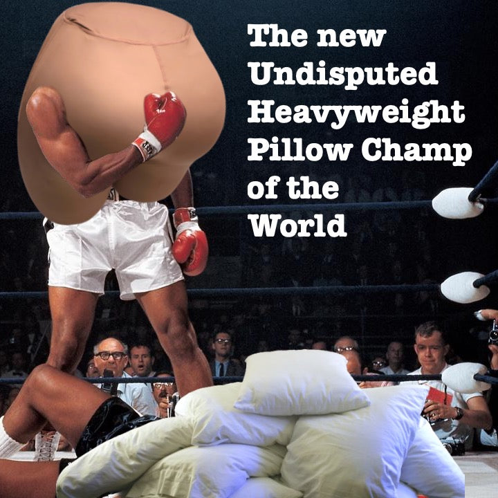 Undisputed Heavyweight Pillow Champ of the World